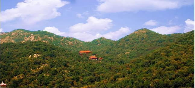 棗莊蓮青山漂流