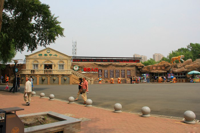 黑龙江虎林园国际马戏城图片