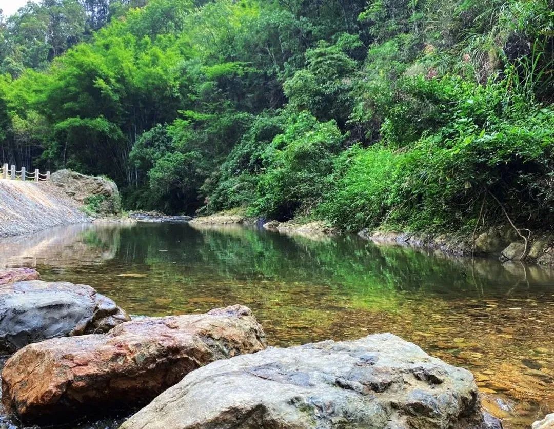 綏江竹海生態(tài)旅游景區(qū)