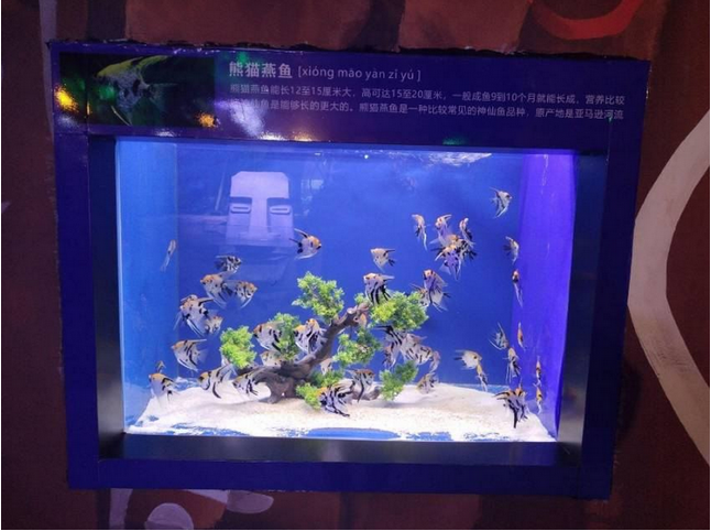 漯河海洋館門票