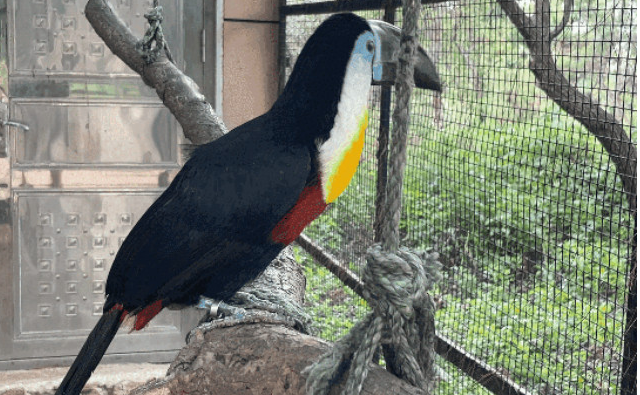 遼陽動(dòng)物園