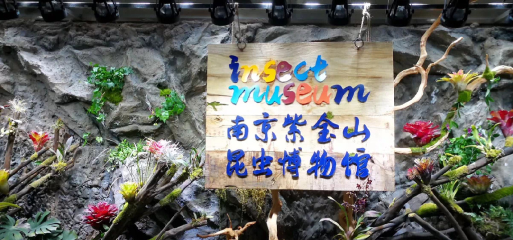2024南京紫金山昆虫博物馆门票多少钱？(开放时间+地址+游玩攻略)
