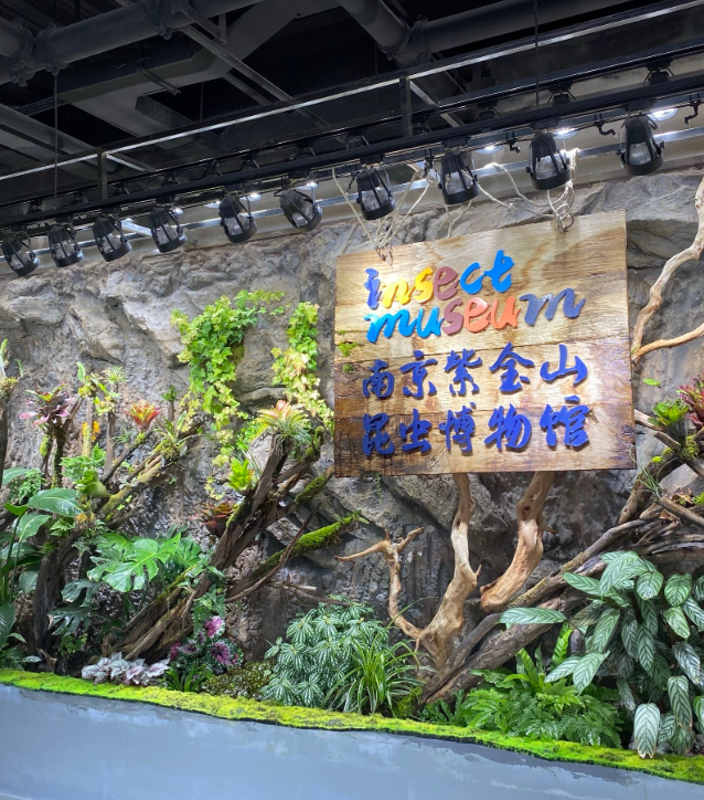 2024南京紫金山昆虫博物馆(开放时间+地址+门票价格+游览攻略)