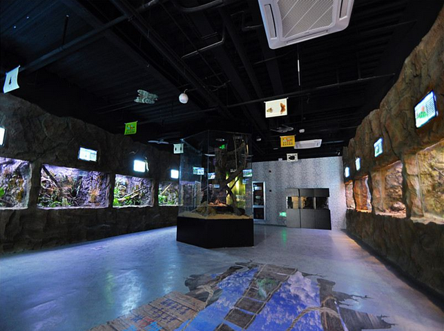 2024南京紫金山昆虫博物馆(营业时间+门票价格+参观攻略+地址)