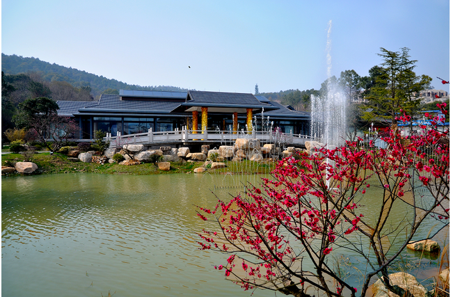 湖州古木博物館