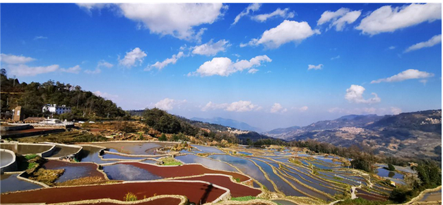 红河坝达景区门票