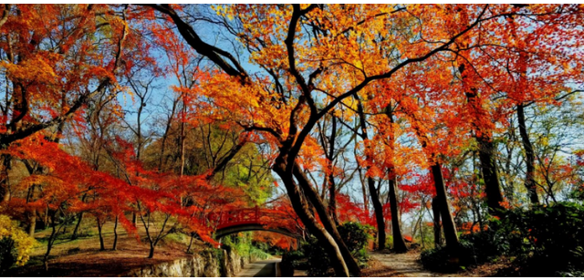 南京中山植物園