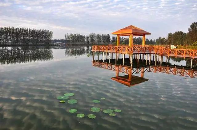 2024北京妫河森林公园门票多少钱？(开放时间+地址+游玩攻略)