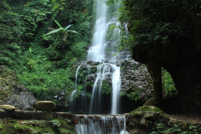 賀州大桂山國家森林公園