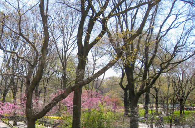 濰坊白浪綠洲濕地公園