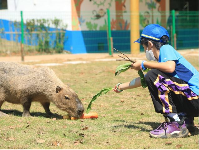 常德野生動物園門票