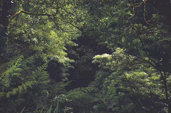 桂林資江景區(qū)門票