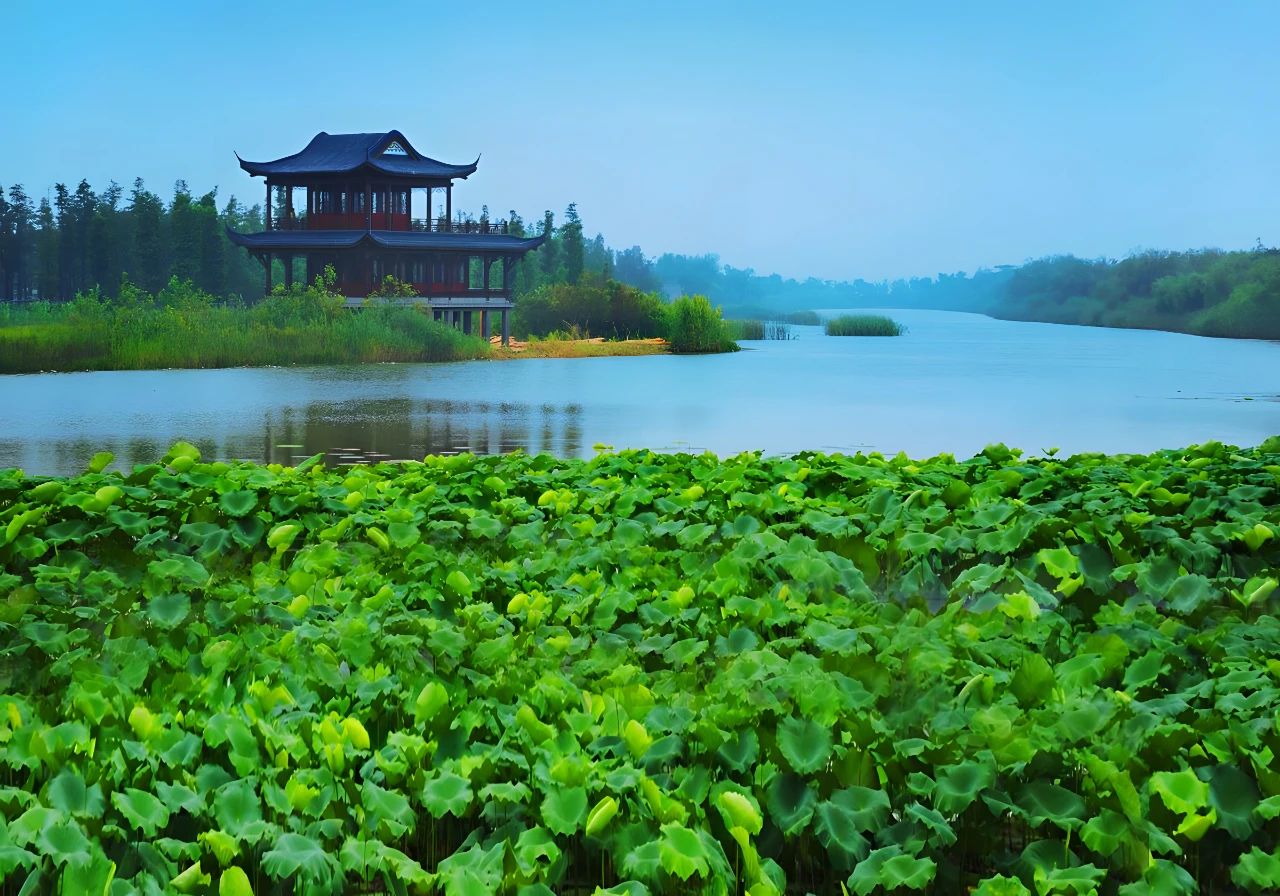 潘安湖国家湿地公园4.jpg