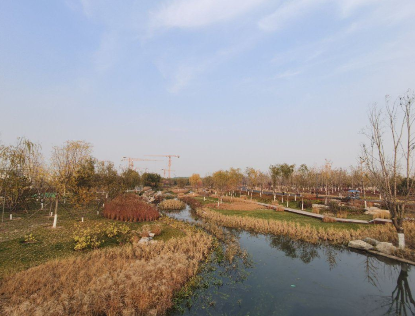 2024北京城市绿心森林公园游览攻略+开放时间+门票预约+项目