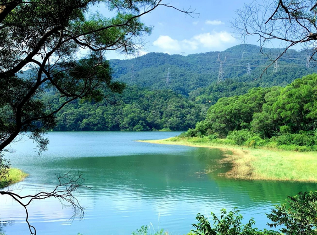 廈門天竺山森林公園