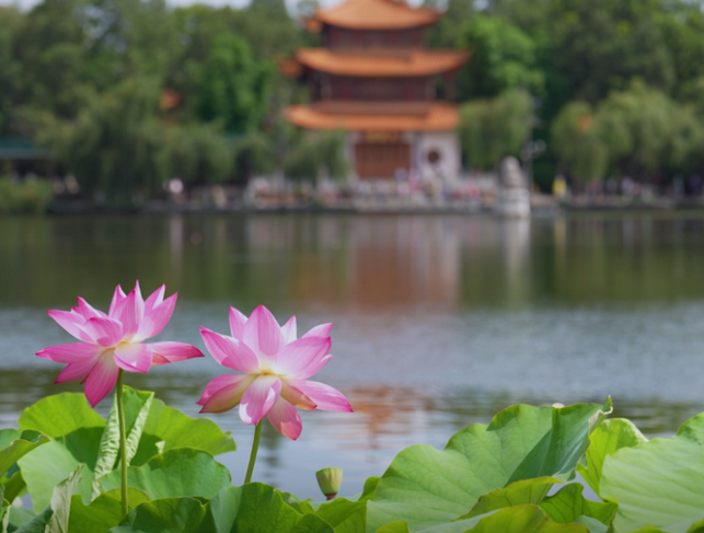 昆明大觀公園