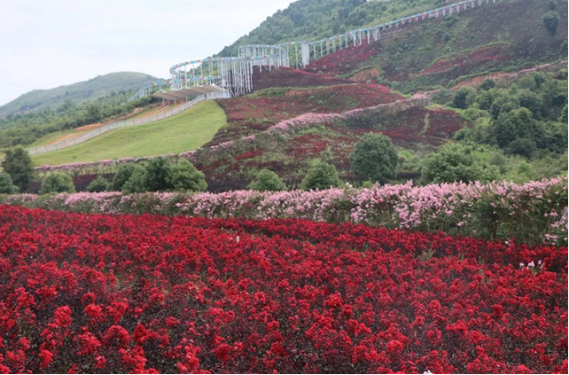 株洲花湖谷景區(qū)門票