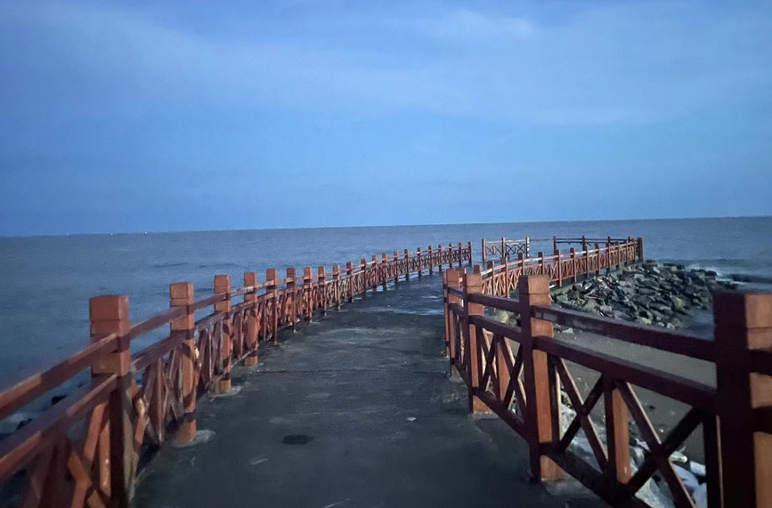 广旅海豚湾出海观豚