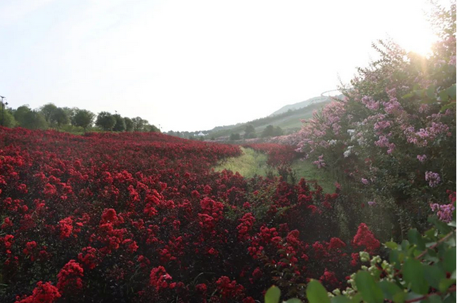 株洲花湖谷景區(qū)門票