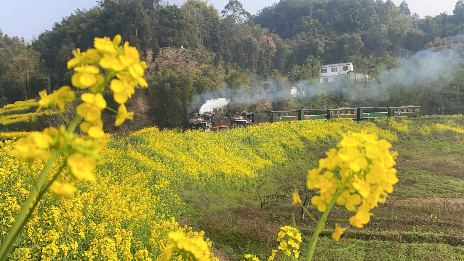 嘉陽(yáng)小火車