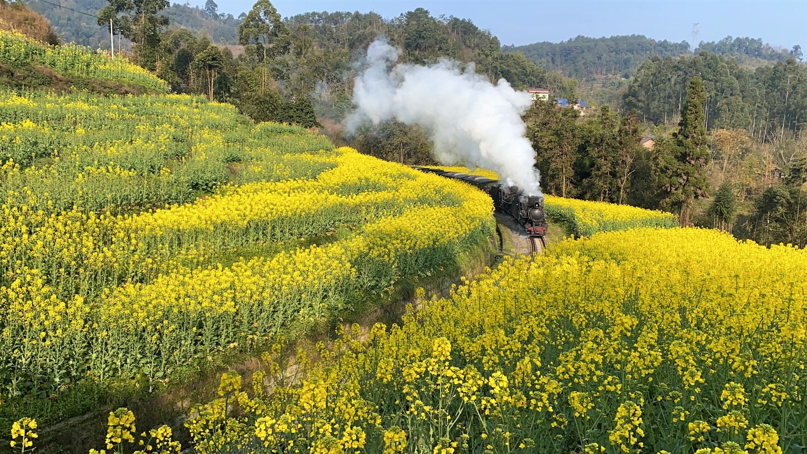 嘉陽小火車