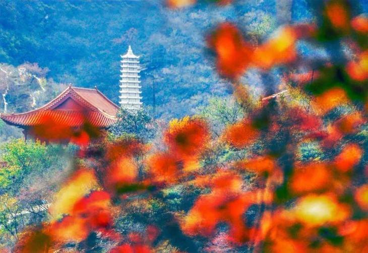 坡峰岭4.jpg
