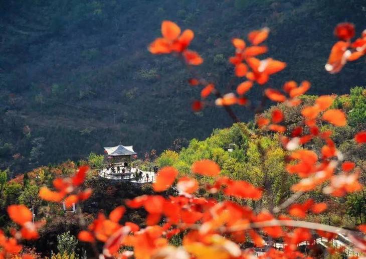 坡峰岭3.jpg