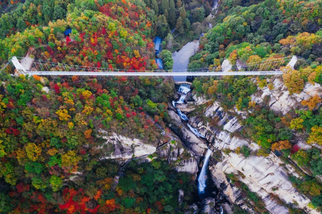 微信图片_20211109163154.jpg 微信图片_20211109163154.jpg