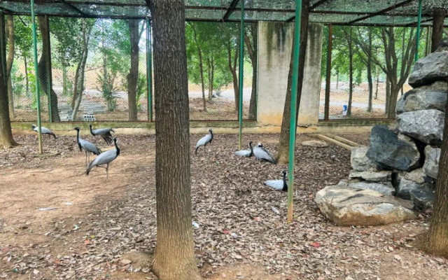 太子山野生動物園