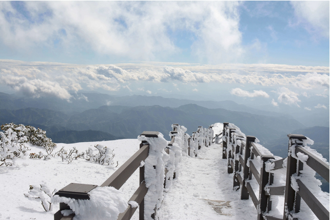 昆明轎子雪山