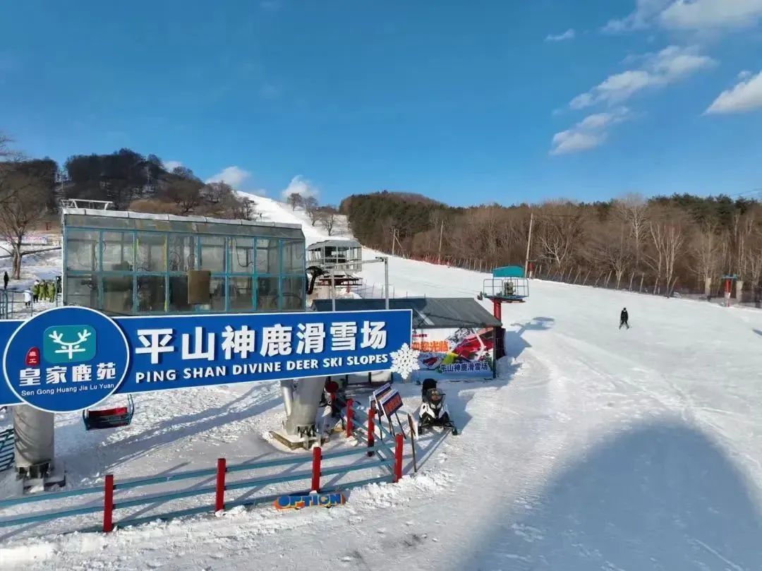 2024哈尔滨平山神鹿滑雪场门票多少钱(附具体地址+雪场介绍)