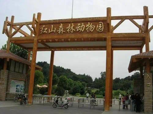 南京红山森林动物园.jpg