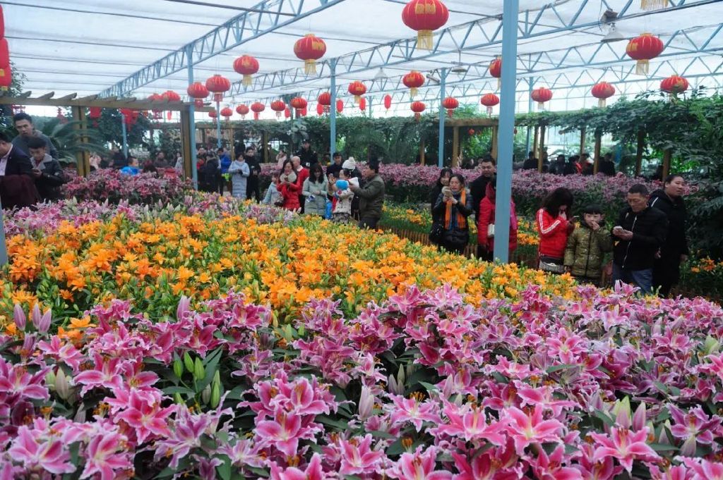 2024郑州绿博园新春文化节活动时间、地址、门票价格及优惠政策