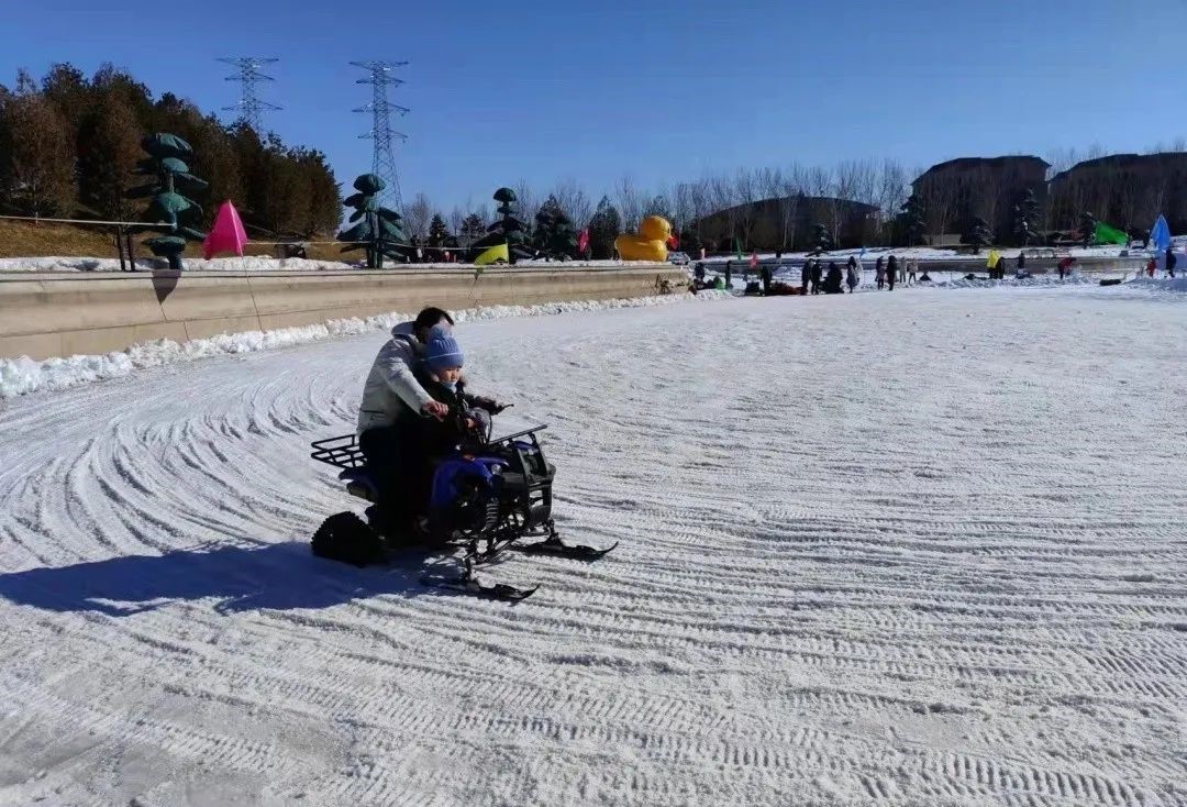 廊坊金豐農(nóng)科園冰雪嘉年華3.jpg