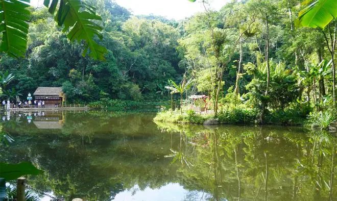 海南百花岭热带雨林文化旅游区