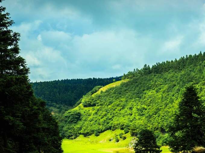 仙女山風(fēng)景區(qū)2.png