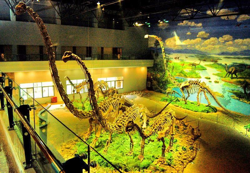 自贡恐龙博物馆4.jpg