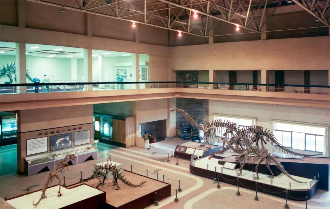 自贡恐龙博物馆3.jpg