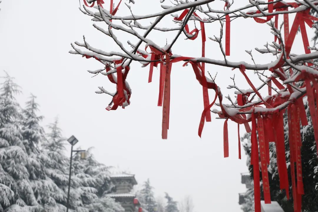 商丘芒碭山旅游區(qū)