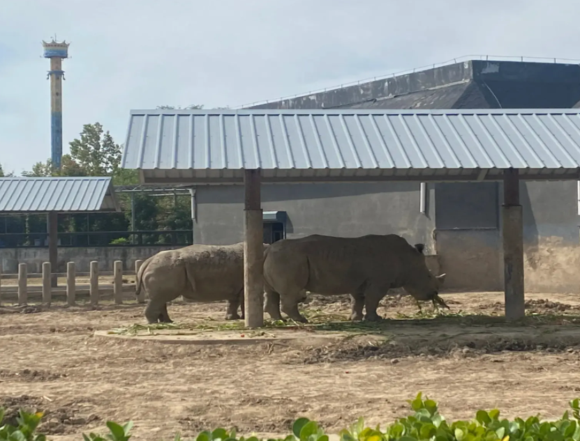 黃河三角洲動物園1.png