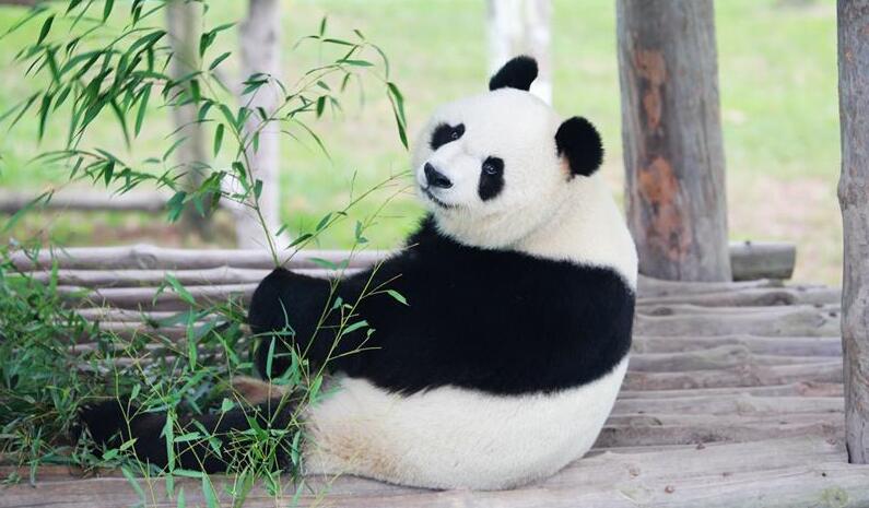 西霞口神雕山野生動物園4.jpg