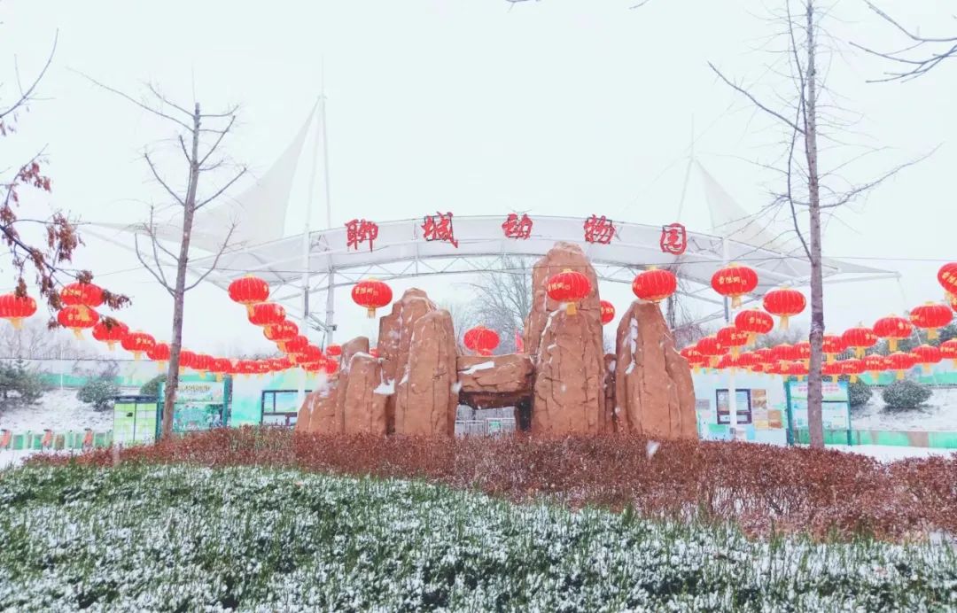 聊城動(dòng)物園門票