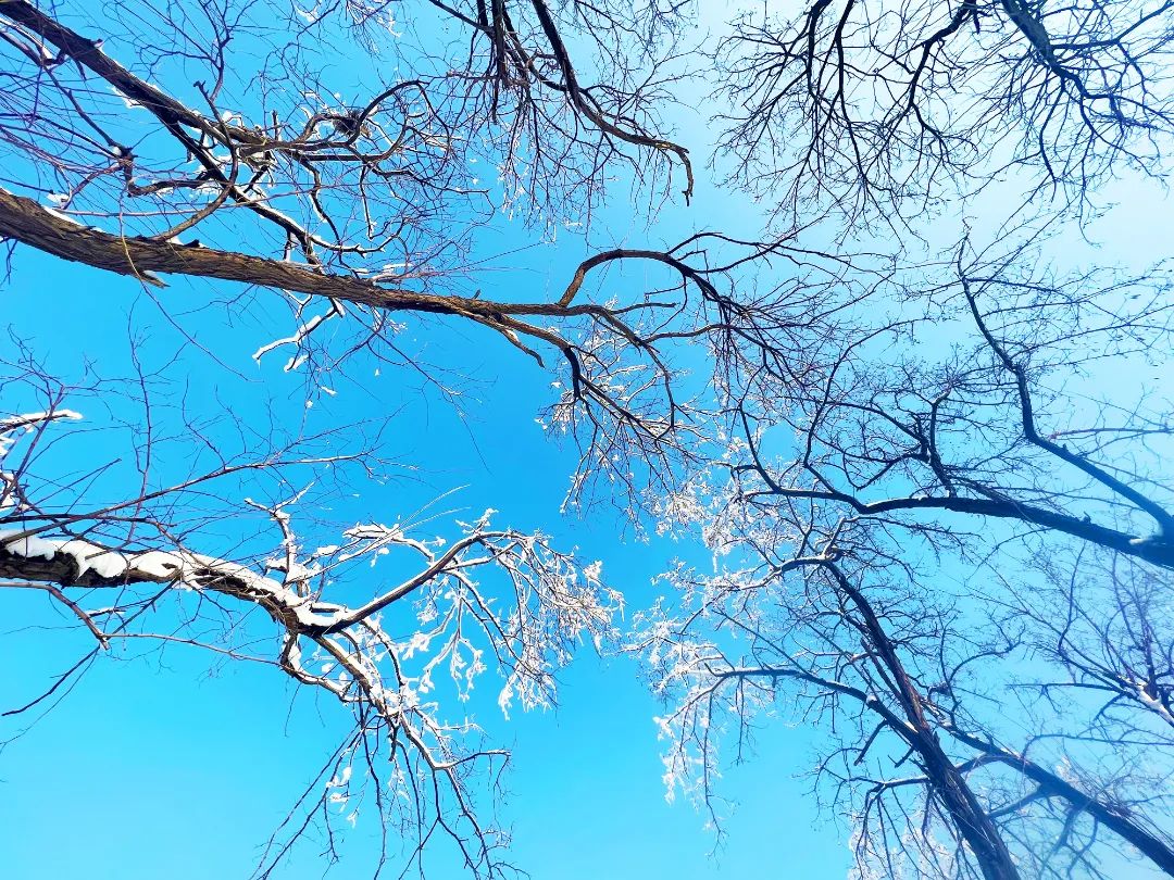 中牟雁鸣蟹岛滑雪场.jpg