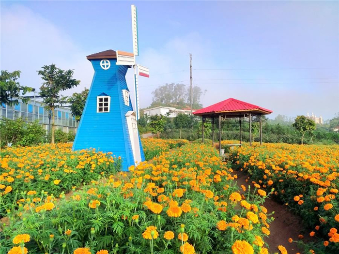 夢幻香山芳香文化園.jpg