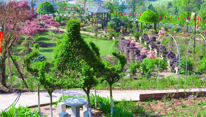 重庆开州盛山植物园