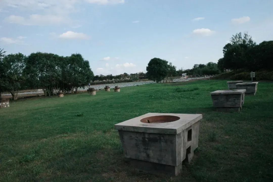 鹅的假日农场.jpg