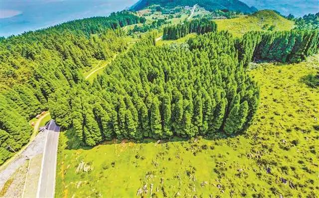 重庆千野草场景区1.jpg