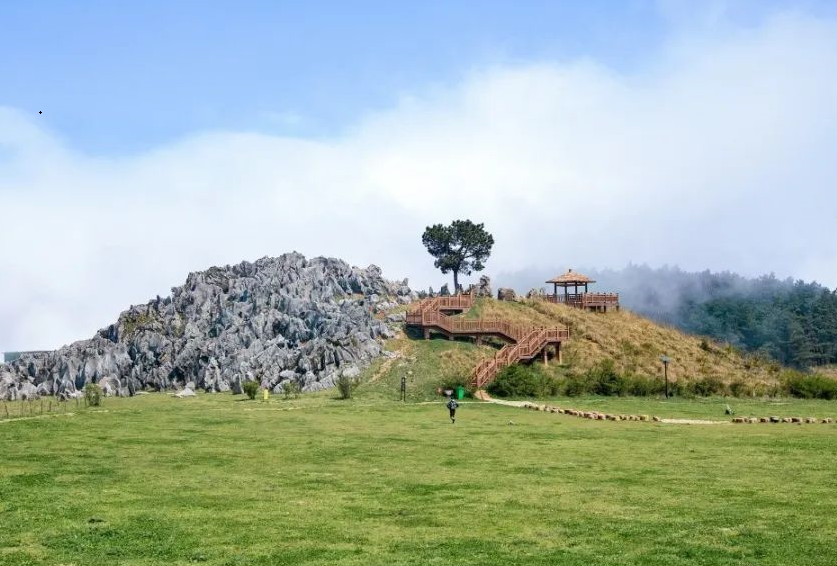 重庆千野草场景区3.png