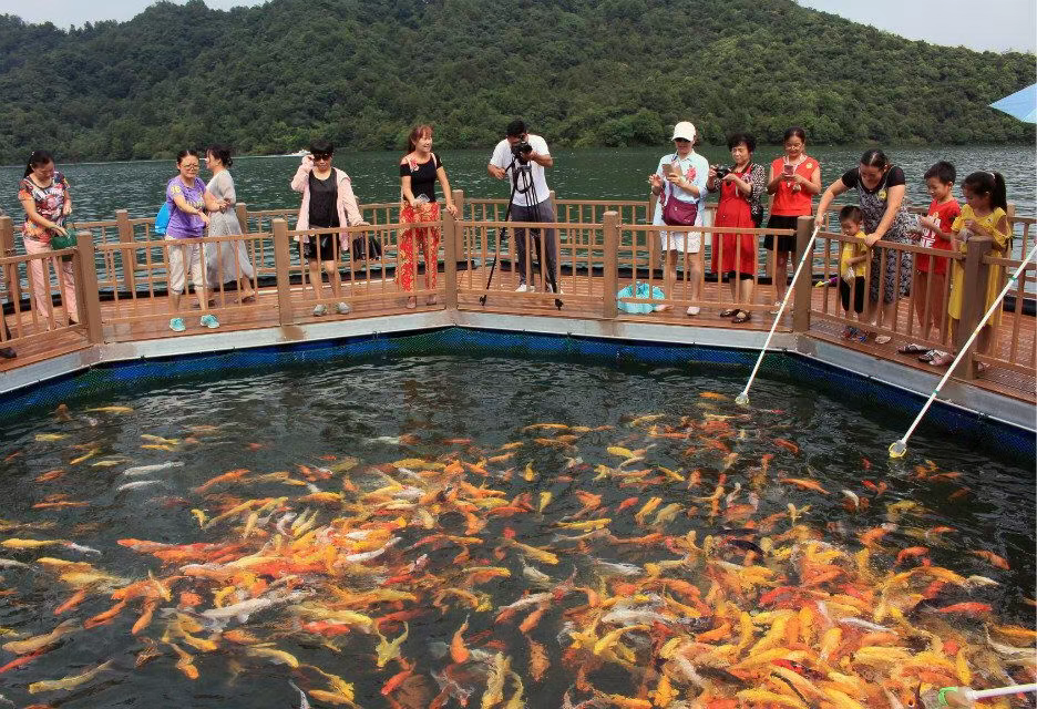 黄山太平湖生态观光渔场