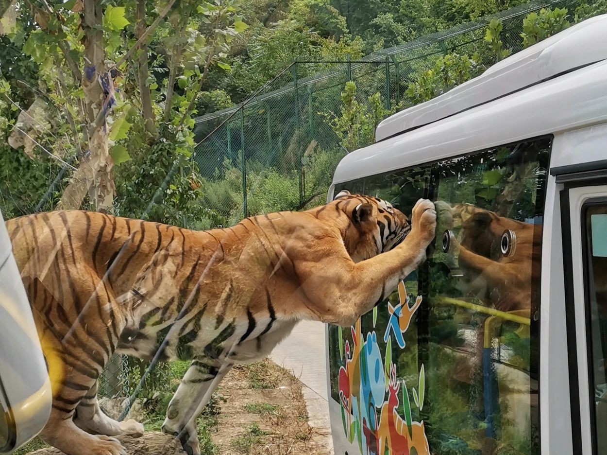 欒川竹海野生動物園